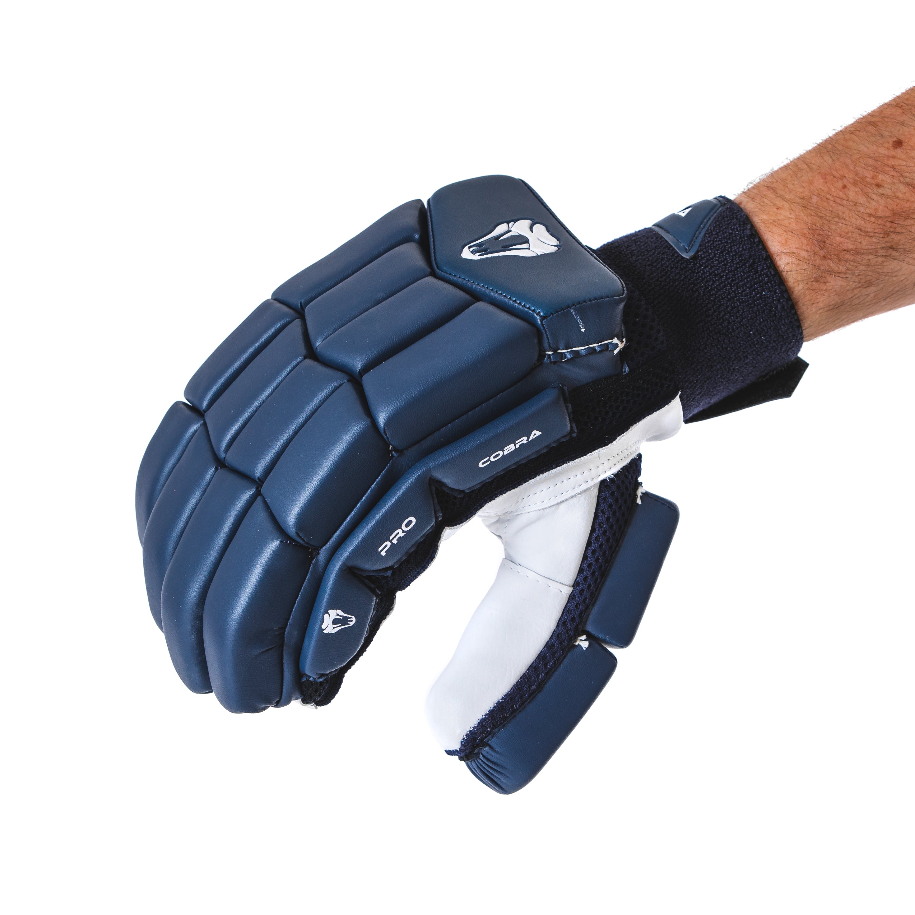 Blue cricket hot sale gloves