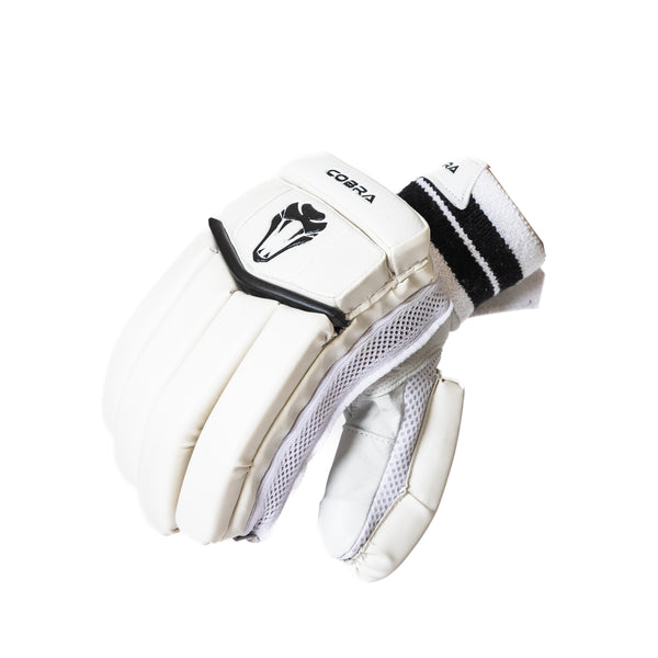 CLUB EDITION JUNIOR CRICKET GLOVES